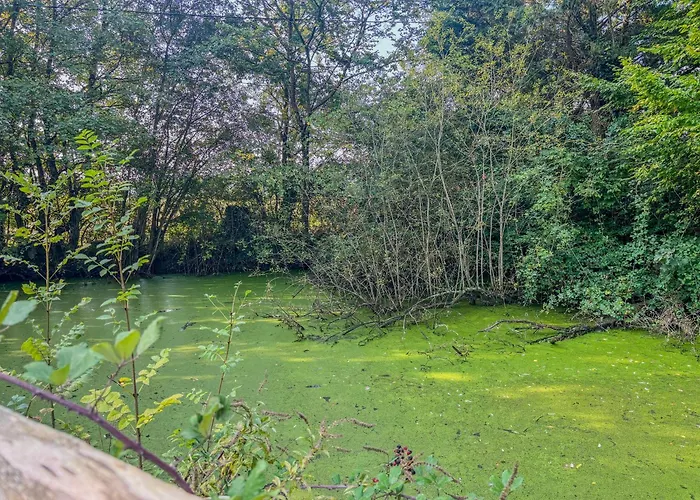 Hébergement de vacances Manoir Xv Et Grange Avec Piscine Chauffée Privée